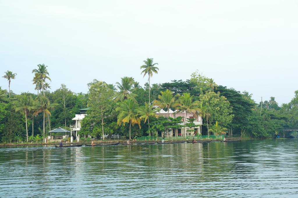 Homestay Orchid View