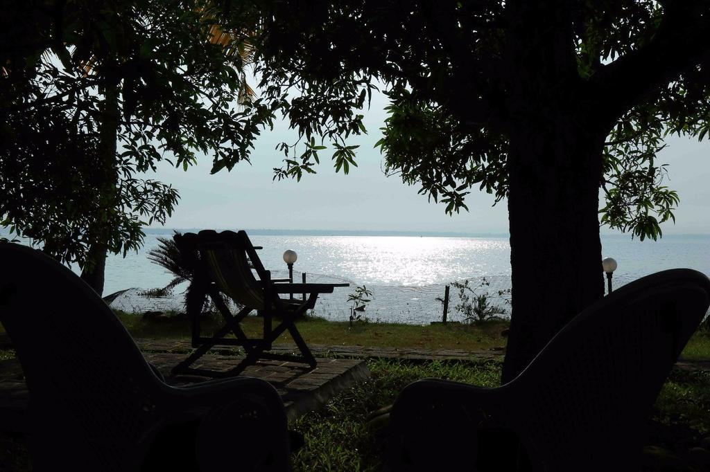 Homestay Orchid View