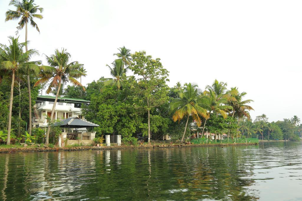 Orchid View